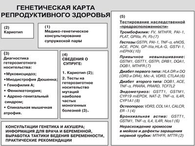 ГЕНЕТИЧЕСКИЙ ПАСПОРТ и медицина будущего. Генетическое тестирование. Генетика. ГЕНЕТИЧЕСКИЙ ПАСПОРТ - интерпретация генома